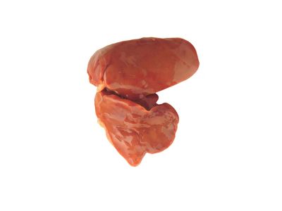 Pana de Pollo 10Kg